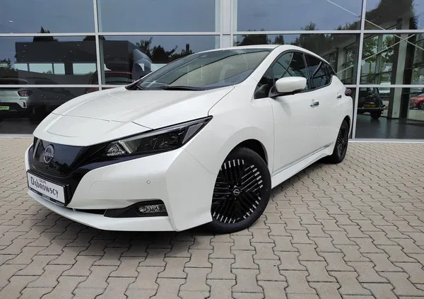 samochody osobowe Nissan Leaf cena 151900 przebieg: 10, rok produkcji 2023 z Pińczów